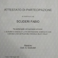 Ingrandire l'immagine: certificate 36