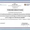 Ingrandire l'immagine: certificate 6