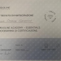 Ingrandire l'immagine: certificate 3