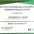 Ingrandire l'immagine: certificate 7