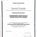 Ingrandire l'immagine: certificate 14
