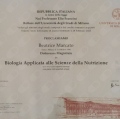 Ingrandire l'immagine: certificate 2