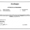 Ingrandire l'immagine: certificate 9