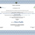 Ingrandire l'immagine: certificate 2