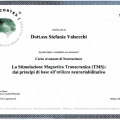 Ingrandire l'immagine: certificate 2