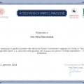 Ingrandire l'immagine: certificate 1