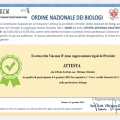 Ingrandire l'immagine: certificate 2