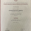 Ingrandire l'immagine: certificate 1