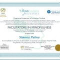 Ingrandire l'immagine: certificate 1