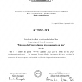 Ingrandire l'immagine: certificate 7