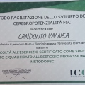 Ingrandire l'immagine: certificate 3