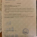 Ingrandire l'immagine: certificate 5