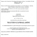 Ingrandire l'immagine: certificate 5