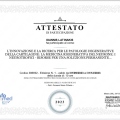 Ingrandire l'immagine: certificate 14