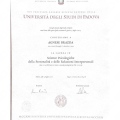 Ingrandire l'immagine: certificate 2