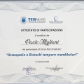 Ingrandire l'immagine: certificate 4