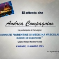 Ingrandire l'immagine: certificate 4
