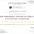 Ingrandire l'immagine: certificate 13
