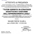 Ingrandire l'immagine: certificate 4