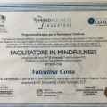 Ingrandire l'immagine: certificate 3
