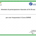 Ingrandire l'immagine: certificate 19