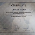 Ingrandire l'immagine: certificate 7
