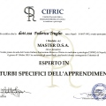 Ingrandire l'immagine: certificate 7