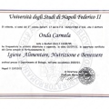 Ingrandire l'immagine: certificate 1