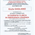 Ingrandire l'immagine: certificate 2