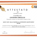 Ingrandire l'immagine: certificate 6