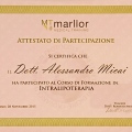 Ingrandire l'immagine: certificate 5