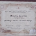 Ingrandire l'immagine: certificate 2