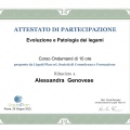 Ingrandire l'immagine: certificate 5