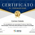 Ingrandire l'immagine: certificate 3