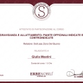 Ingrandire l'immagine: certificate 17
