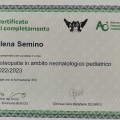 Ingrandire l'immagine: certificate 2