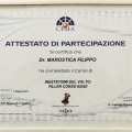 Ingrandire l'immagine: certificate 10