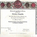 Ingrandire l'immagine: certificate 1