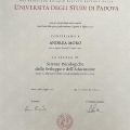 Ingrandire l'immagine: certificate 2