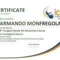 Ingrandire l'immagine: certificate 4