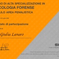 Ingrandire l'immagine: certificate 4