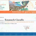 Ingrandire l'immagine: certificate 10