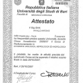 Ingrandire l'immagine: certificate 9