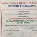 Ingrandire l'immagine: certificate 2