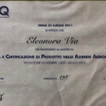Ingrandire l'immagine: certificate 9