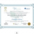 Ingrandire l'immagine: certificate 2