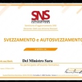 Ingrandire l'immagine: certificate 21