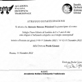 Ingrandire l'immagine: certificate 5