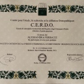 Ingrandire l'immagine: certificate 4