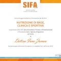 Ingrandire l'immagine: certificate 1